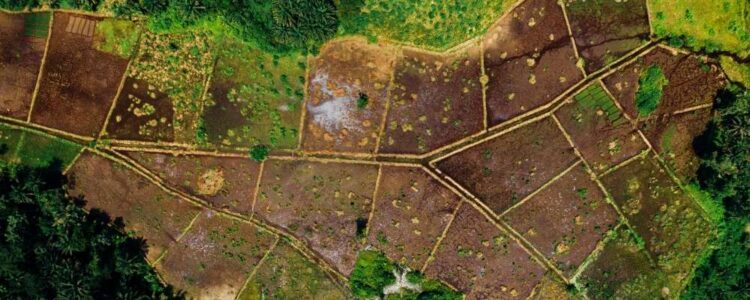 Land image from above. Photo: New Silver.