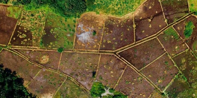 Georgia’s land market sees rising demand and price growth