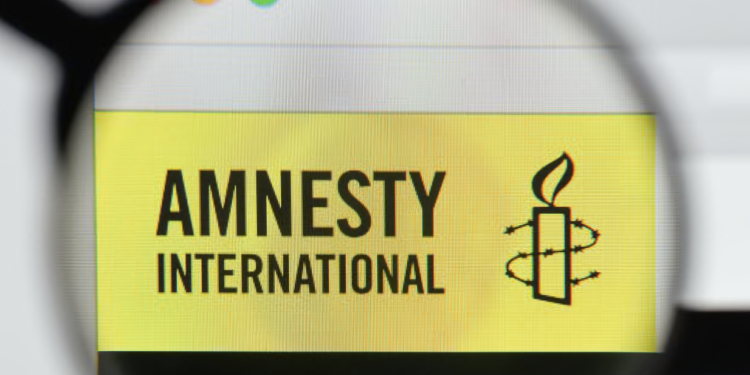 Georgia faces criticism in Amnesty International report