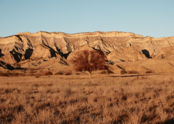 Samukhi: negotiating the future of a shared landscape