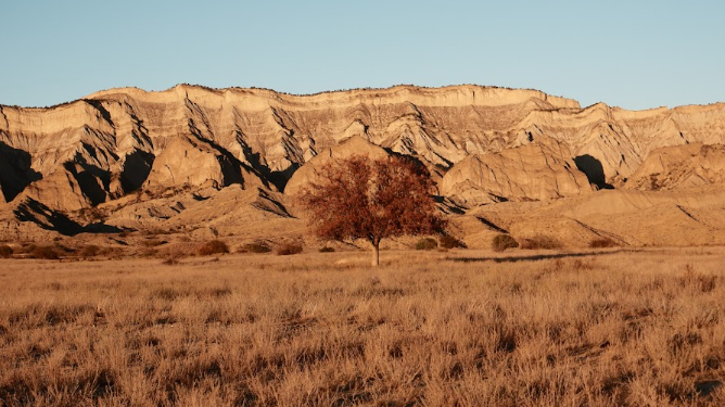 Samukhi: negotiating the future of a shared landscape