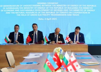 Benefits from the Cooperation of Georgia with the Organization of Turkic States Members
