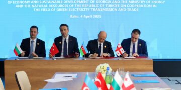 Benefits from the Cooperation of Georgia with the Organization of Turkic States Members