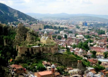 Georgian economy grows 8.8% in February 2026