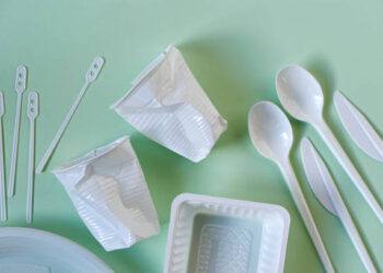 Georgia’s plastic ban raises cost concerns for food service sector