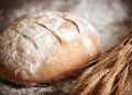 Study identifies Georgia as independent origin center of bread wheat
