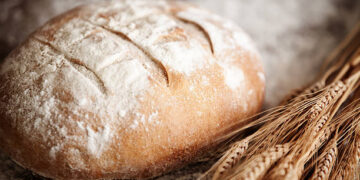 Study identifies Georgia as independent origin center of bread wheat