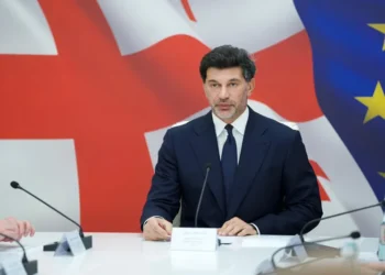 Kaladze defends new “Abastumani-2” no-fly zone, cites observatory scientists’ concerns