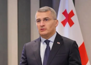 Mamuka Mdinaradze appointed State Minister for Law Enforcement Coordination, also to serve as Vice PM