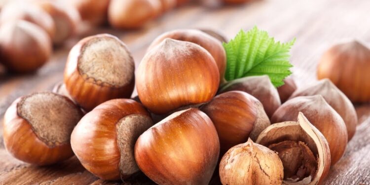 Hazelnut export value rises despite drop in volume – ministry