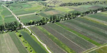 Land sales rise in Georgia, demand pushes prices up