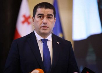 Papuashvili warns of alleged European-funded interference in Church affairs