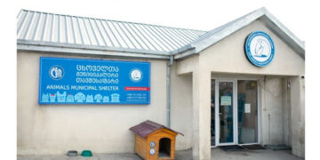 Tbilisi City Hall responds to shelter protest