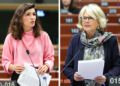 PACE Monitoring Committee: Democratic backsliding and pressure on opposition, civil society continue in Georgia