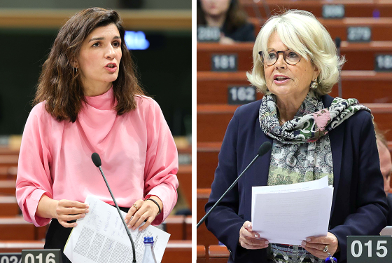 PACE Monitoring Committee: Democratic backsliding and pressure on opposition, civil society continue in Georgia