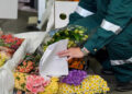 Russia restricts flower imports from Armenia