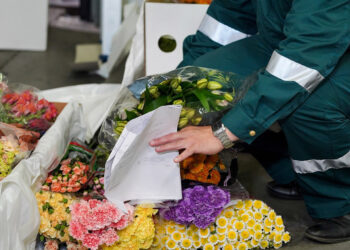 Russia restricts flower imports from Armenia