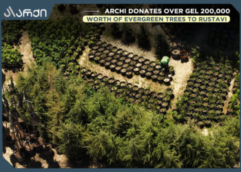 Archi Donates Over GEL 200,000 Worth of Evergreen Trees to Rustavi