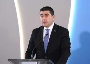 Georgian Parliament Speaker criticizes Ukraine policy after Kobakhidze–Zelensky meeting