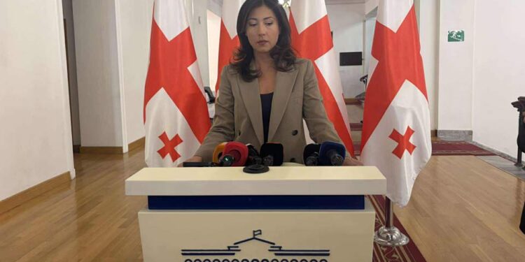 Gakharia for Georgia summons education minister to Parliament through interpellation procedure