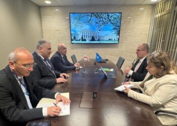 Georgian Health Minister meets WHO Europe regional director in Geneva