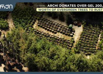 Archi Donates Over GEL 200,000 Worth of Evergreen Trees to Rustavi