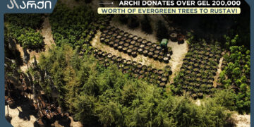Archi Donates Over GEL 200,000 Worth of Evergreen Trees to Rustavi