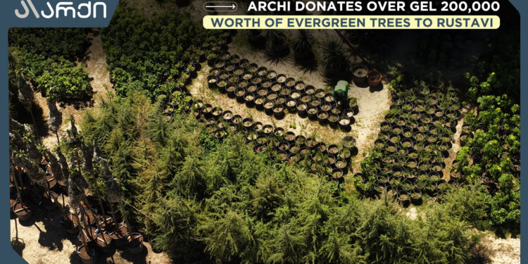 Archi Donates Over GEL 200,000 Worth of Evergreen Trees to Rustavi