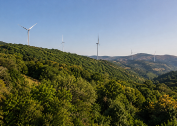 Government allows removal of 2,370 Red List chestnut trees for Rikoti wind farm