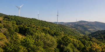 Government allows removal of 2,370 Red List chestnut trees for Rikoti wind farm