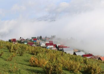 Guria to host EU-supported ‘GREEN Guria’ festival