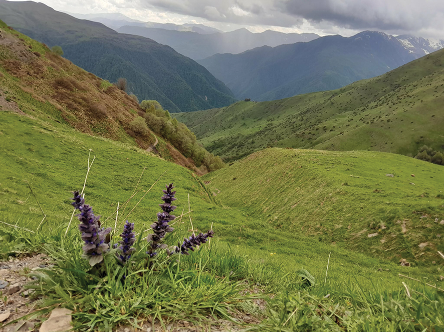 A hiking trail in Tusheti. Source: GT
