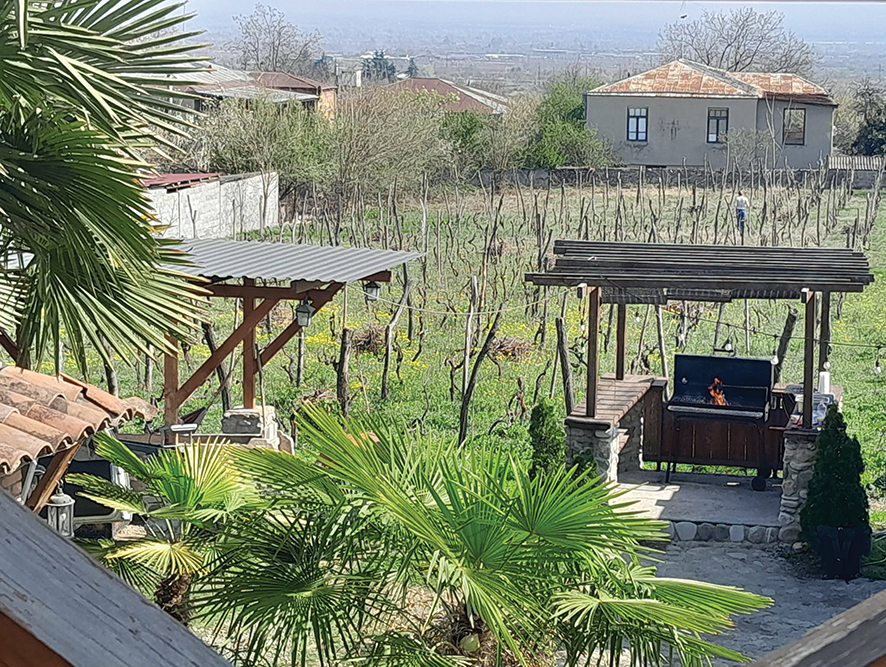A Kakheti garden and vineyard. Source: GT