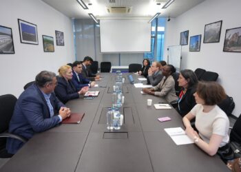 Economy Ministry, World Bank discuss Black Sea cable project