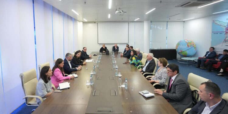 Economy Ministry discusses summer season with airlines