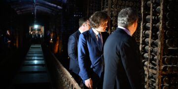 Enoteca opens in Tbilisi with 20,000 rare wine bottles