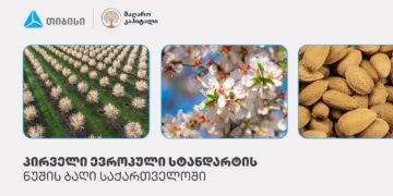 პირველი, სრულად ევროპული სტანდარტის ნუშის ბაღი საქართველოში – თიბისის მხარდაჭერით, კახეთში აგროპროექტი ვითარდება
