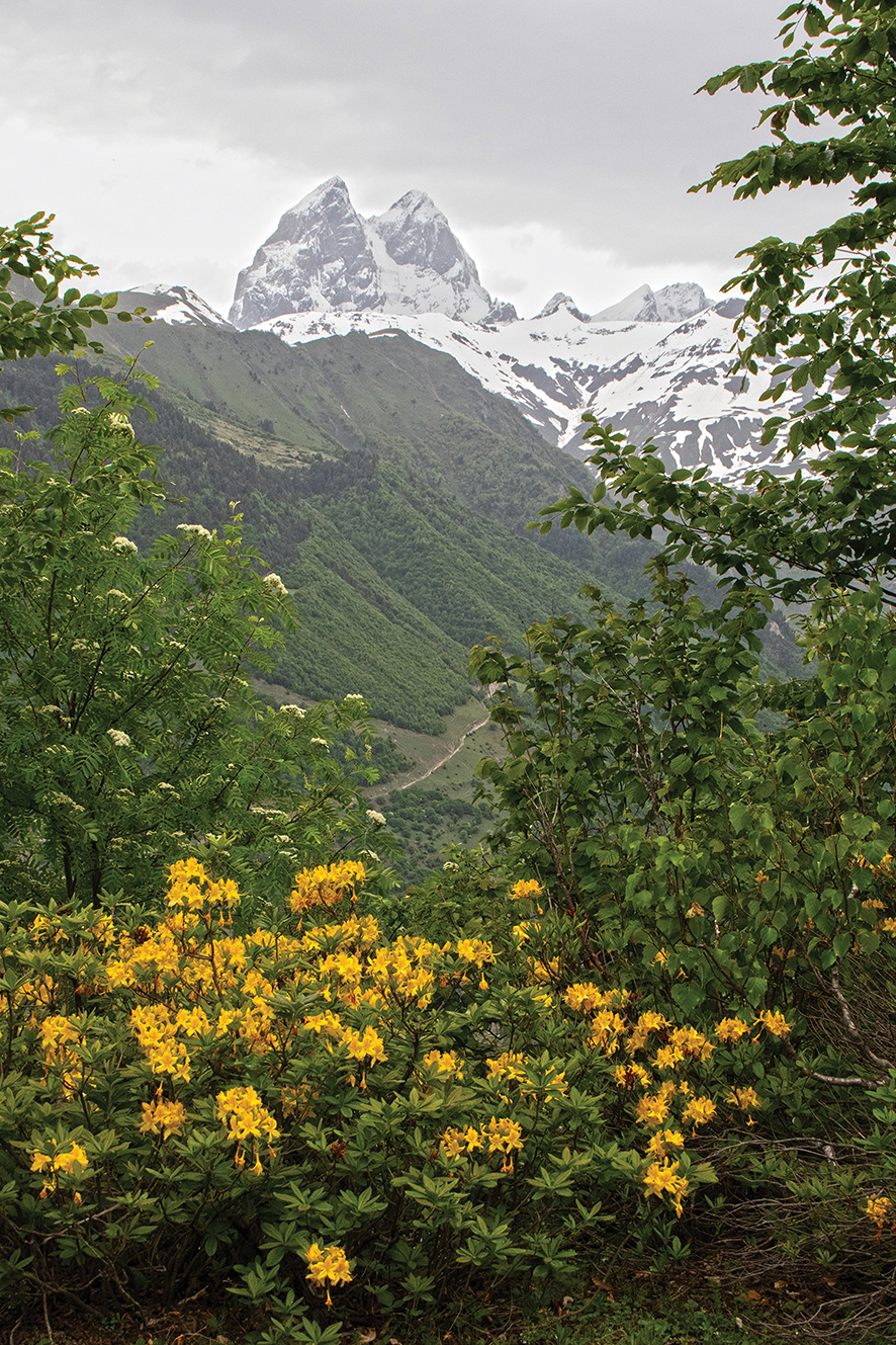 Ushba in spring from above Mestia. Photo by the author