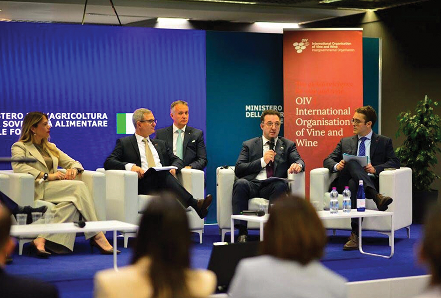 Davit Songulashvili speaking at the conference. Source: FB