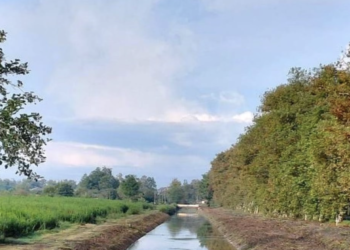 Demand for irrigation services triples in Georgia