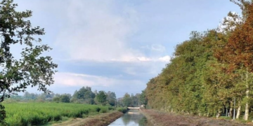 Demand for irrigation services triples in Georgia