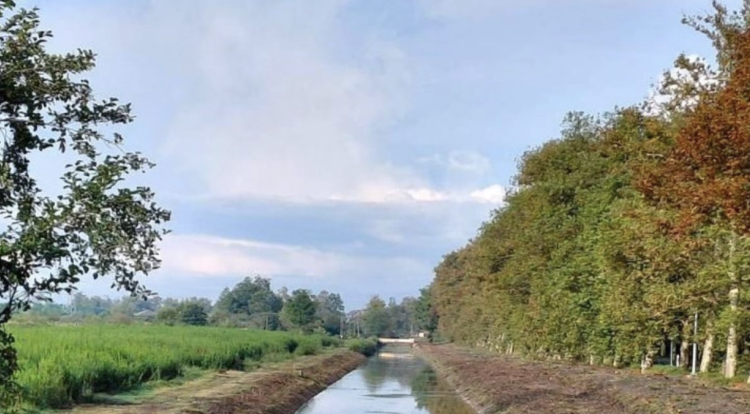 Agricultural canal. Photo: Georgian Amelioration.