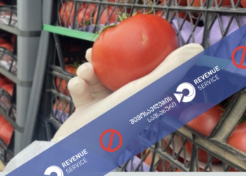 8,200 kg of tomatoes returned at Sarpi checkpoint after quarantine pest detection