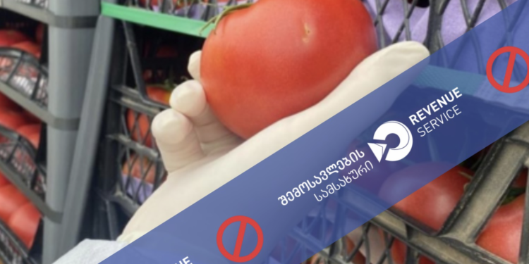 8,200 kg of tomatoes returned at Sarpi checkpoint after quarantine pest detection