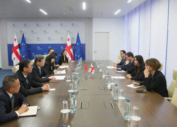 The Georgian Economy Minister and the Chinese delegation. Source: gov.ge
