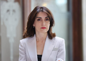 Maka Bochorishvili: Georgia and Ukraine agree to resume dialogue