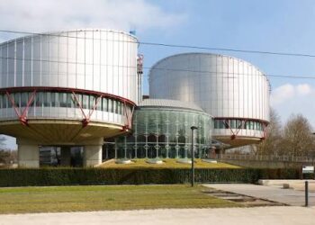 ECHR rules obscene and degrading public statements fall outside freedom