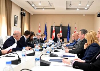 Parliamentary commission in Georgia adopts final report on prices, recommends limited market intervention