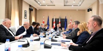 Parliamentary commission in Georgia adopts final report on prices, recommends limited market intervention