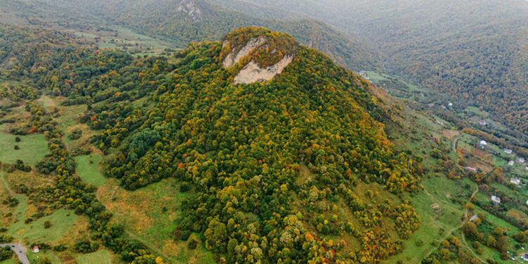Parliament committee backs creation of Tsiv-Gombori protected areas